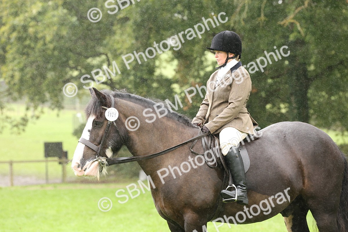 SBM_69845 - S69 - Show Cob Ridden