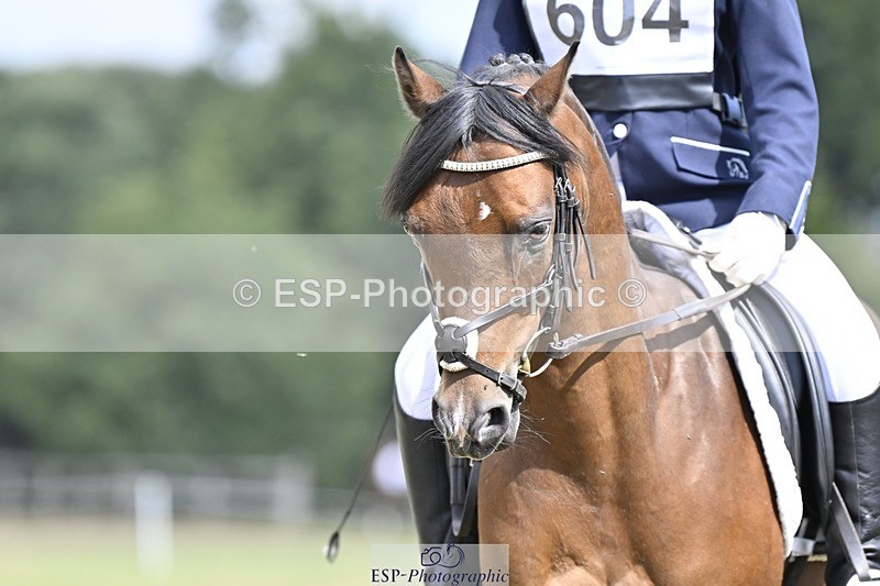 250822A-113732-22317 - DR 11.00 to 12.00