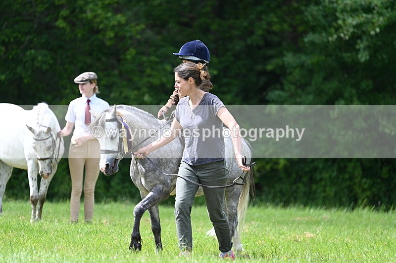 WJ7_1599 - Class 11 Condition & Turnout