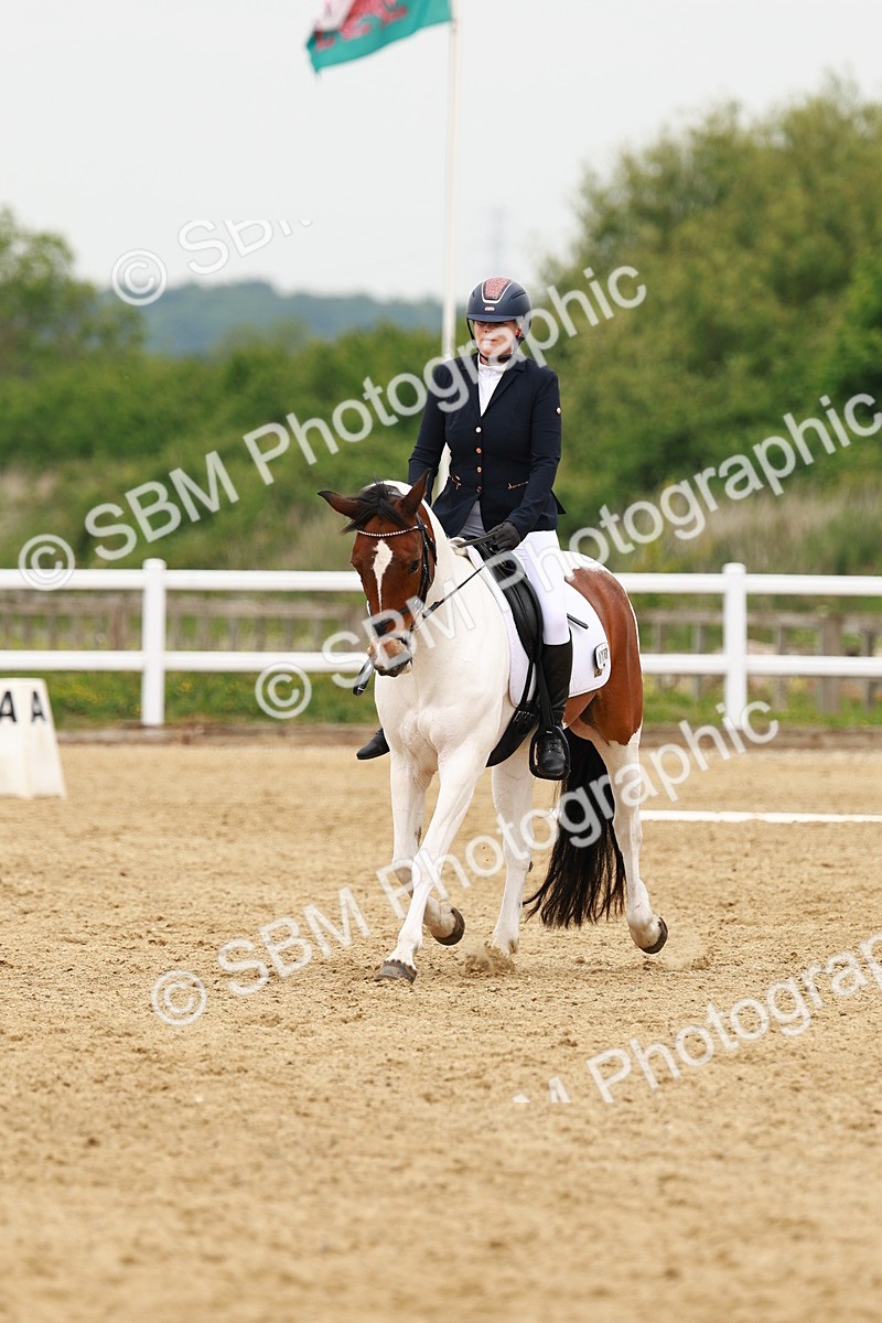 SBM_001550 - Class 7 - Novice 5