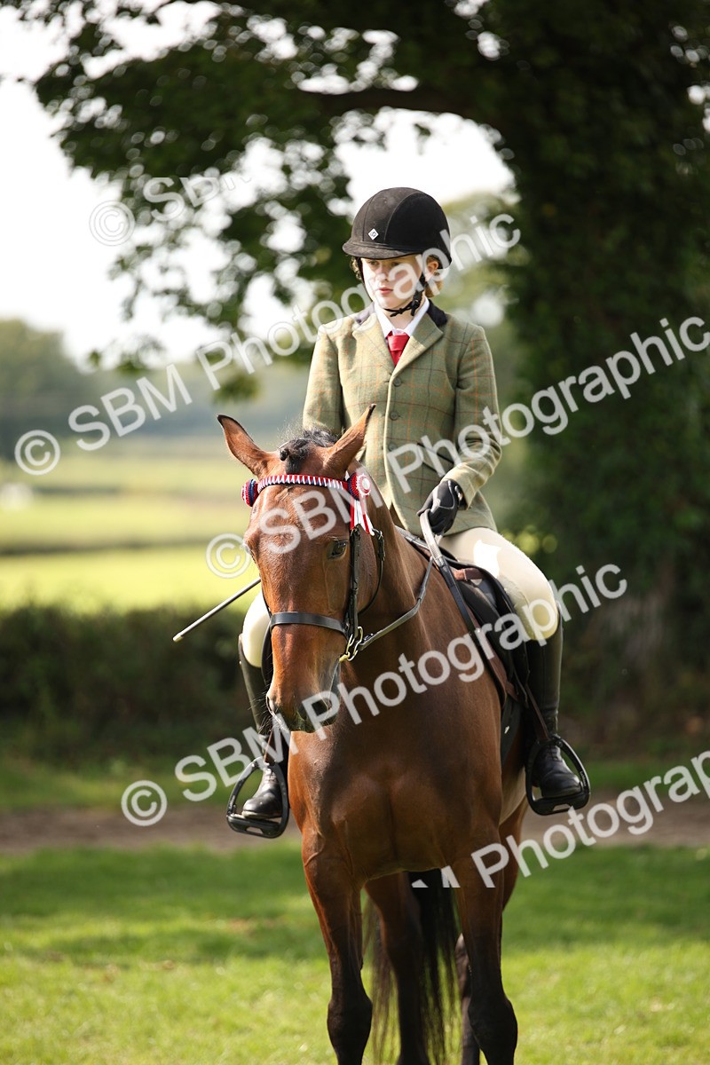 SBM_65988 - S64 - Riding Horse & Hack & Thoroughbred Ridden