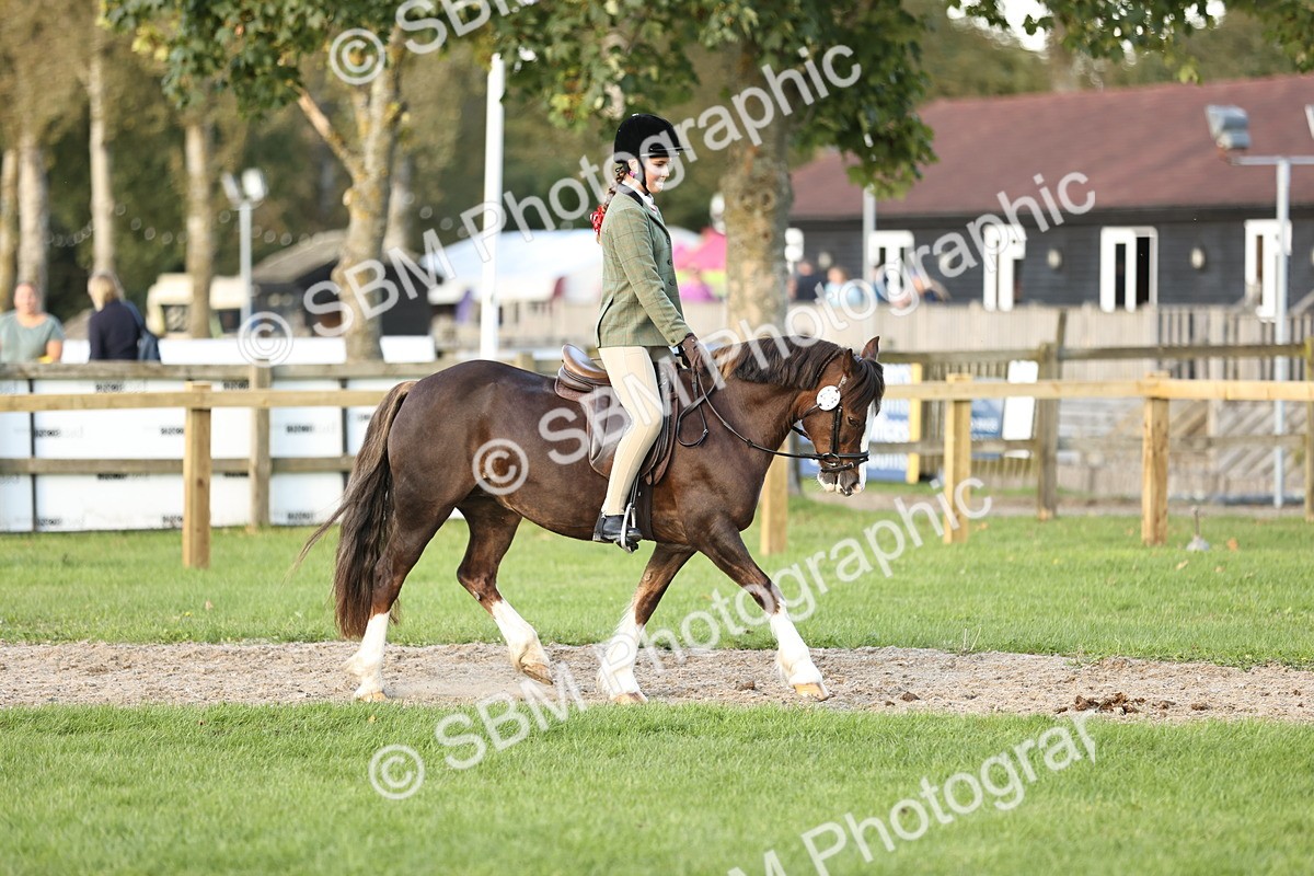SBM_29543 - S7 - Novice & Newcomers Ridden Pony
