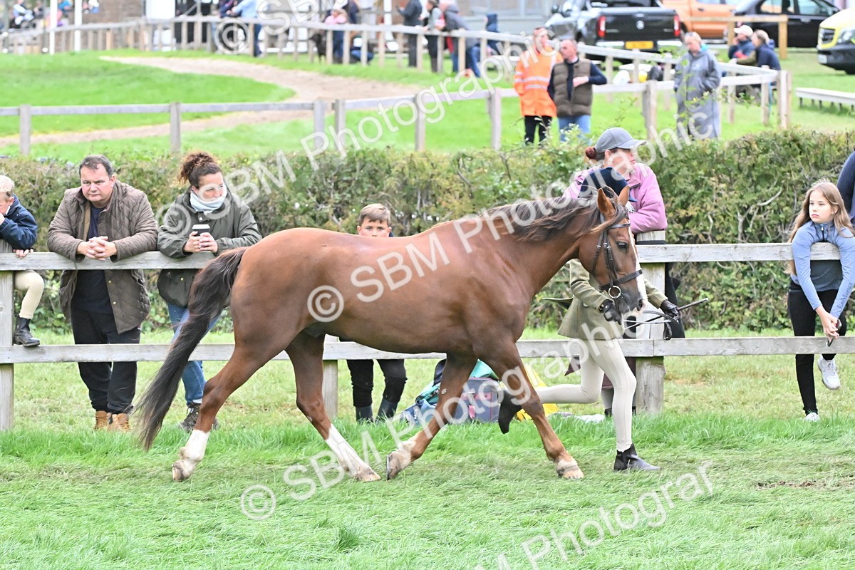 SBM_68584 - S42 - Junior Handler 9-12 Years