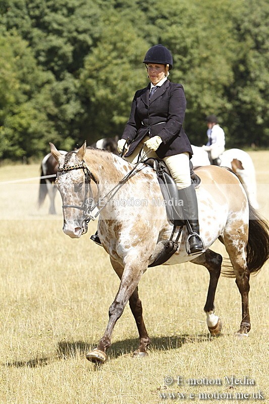 _BS_0772 - BVRC Show 2018 Ring 1