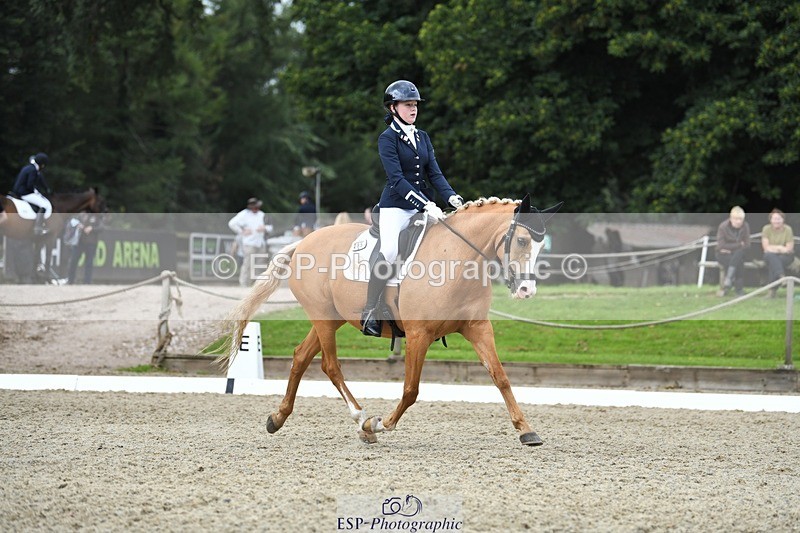 230812-123923-04181 - Cls 6 Novice Silver 12.10 to End