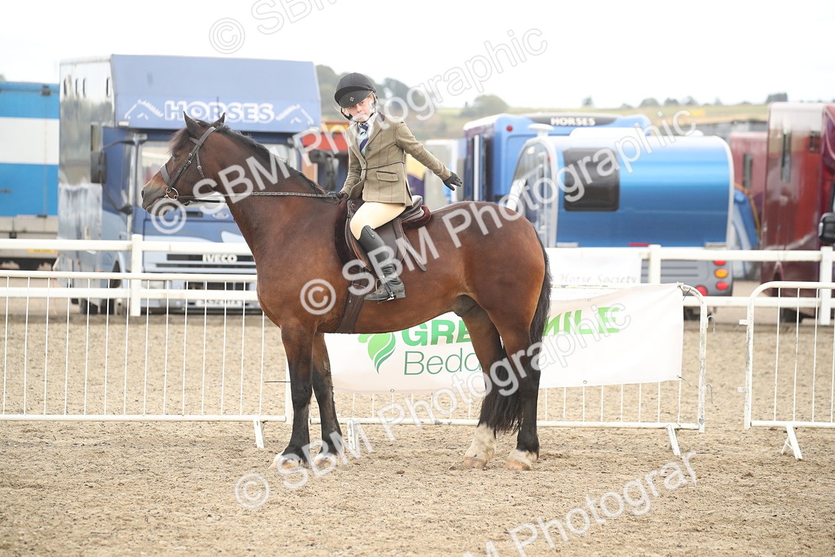 SBM_17911 - Class 508b - Working Veteran 70cm (20+)