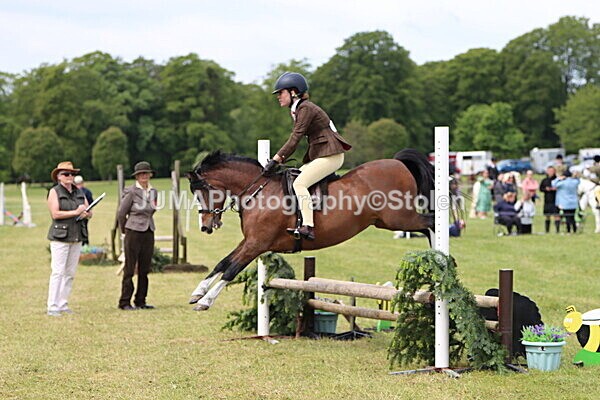 IMG_2885 - Working Hunter