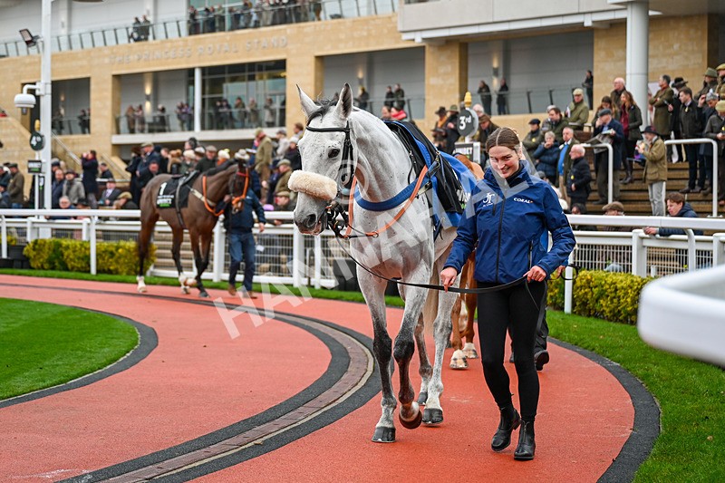 131224-Race 5-Eldorado Allen-9847 - Race 5