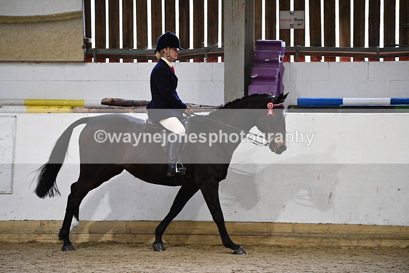 WJ5_7865 - Class 13 Ridden Part Breed