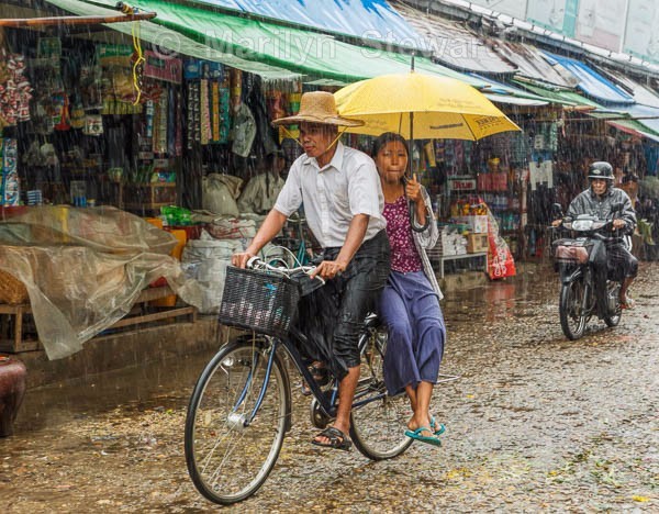 Afternoon Rain - Exhibition acceptances