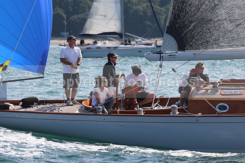 140621 CHLOI BEAR WT7A3345 - ROUND THE ISLAND - 21st June 2014