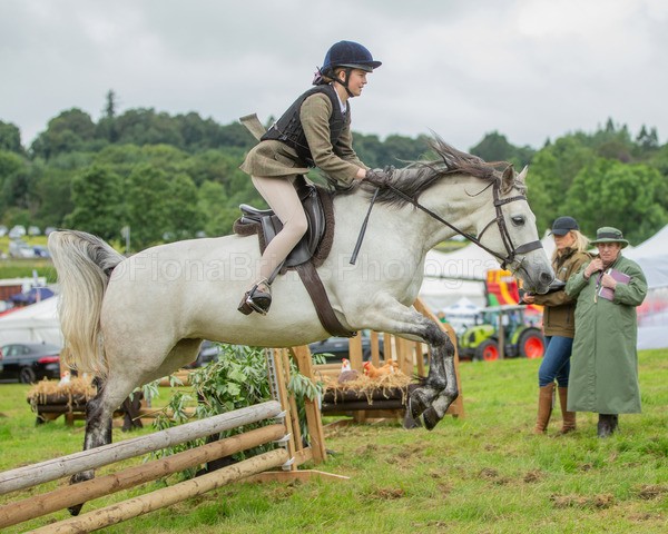 Dunblane show-208 - Dunblane and Doune Show Ring 1