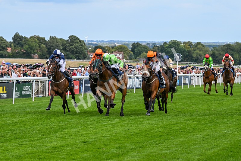 300826-Race 2-Jm Jungle-9658 - Race 2 2.15pm William Hill Beverley Bullet Sprint Stakes