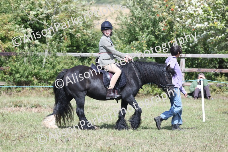 20250831-2791 - Class 18 - Childs First Pony