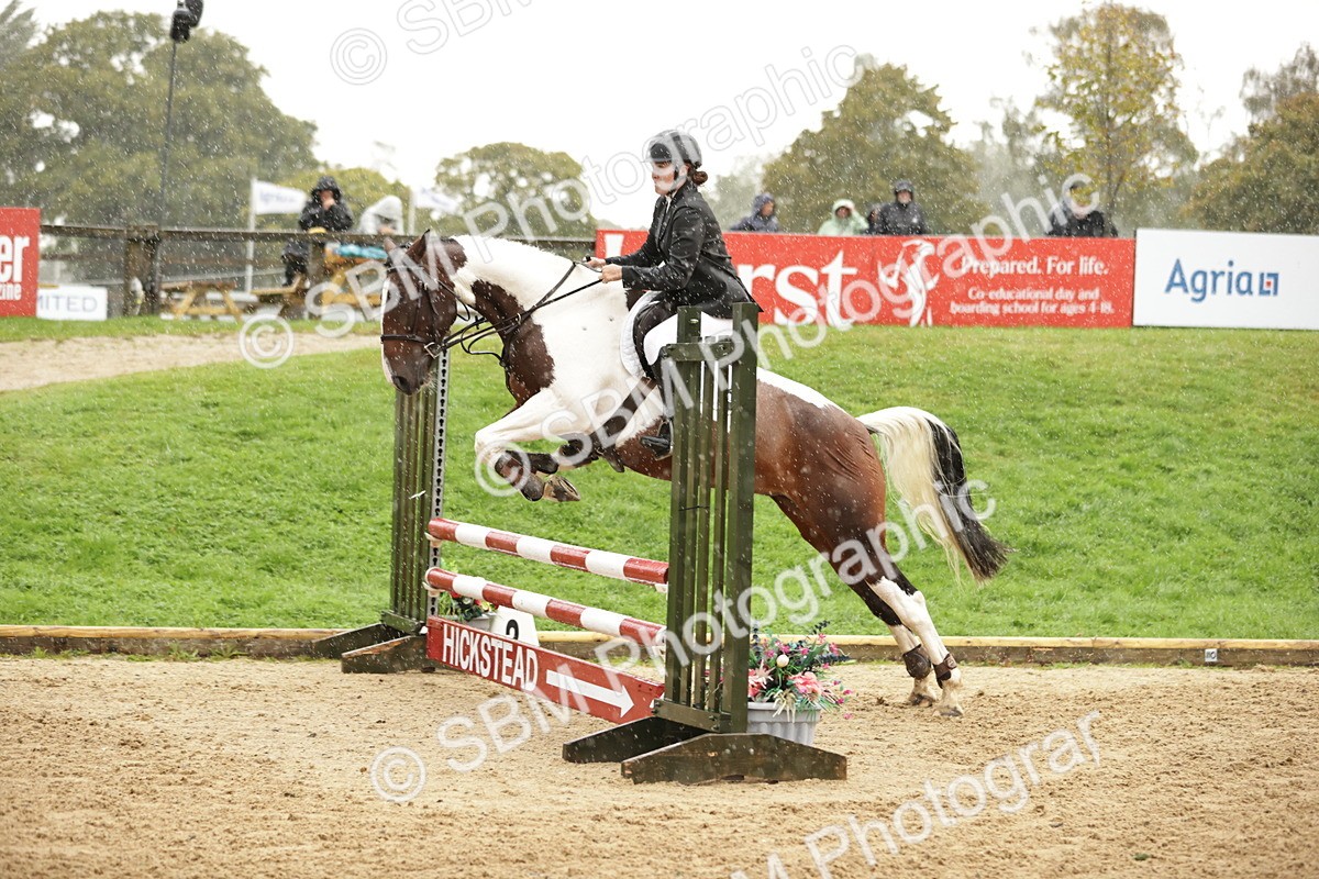 SBM_33107 - J38 - Senior Horse & Pony 80cm Championship