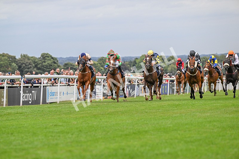 150824-Race 4-Opal Storm-4209 - Race 4