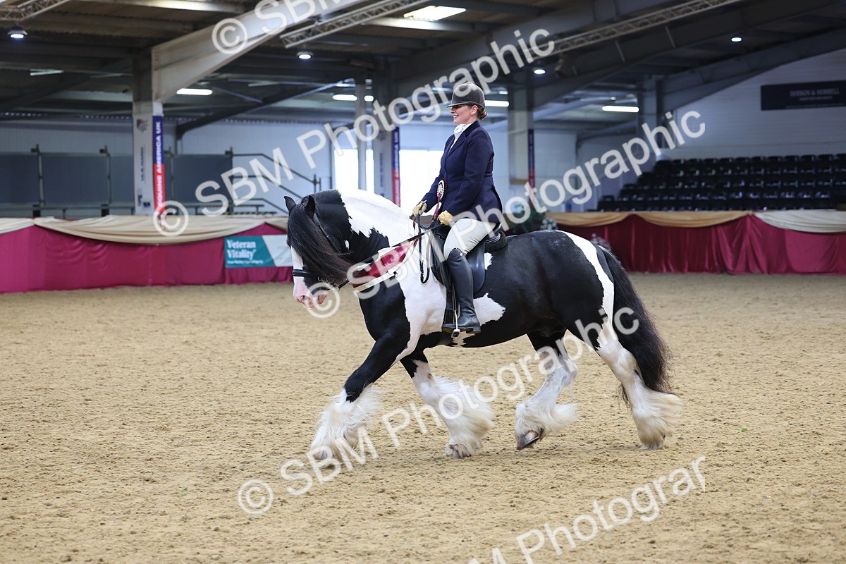 SBM_24234 - Class 905 - Supreme Final - Ridden Veteran