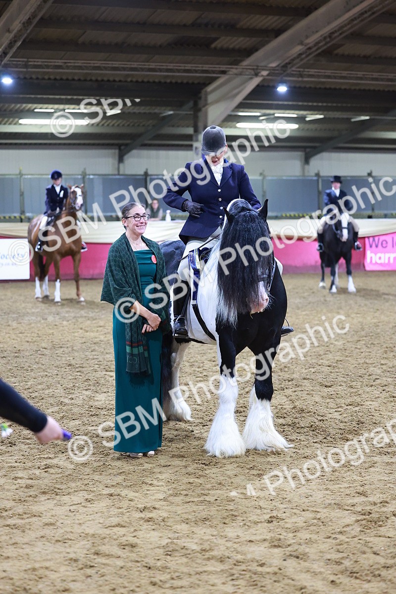 SBM_15433 - Class Q - Ridden Horse Champ