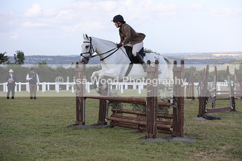 JPP_3609 - Class 24: Open Working Hunter