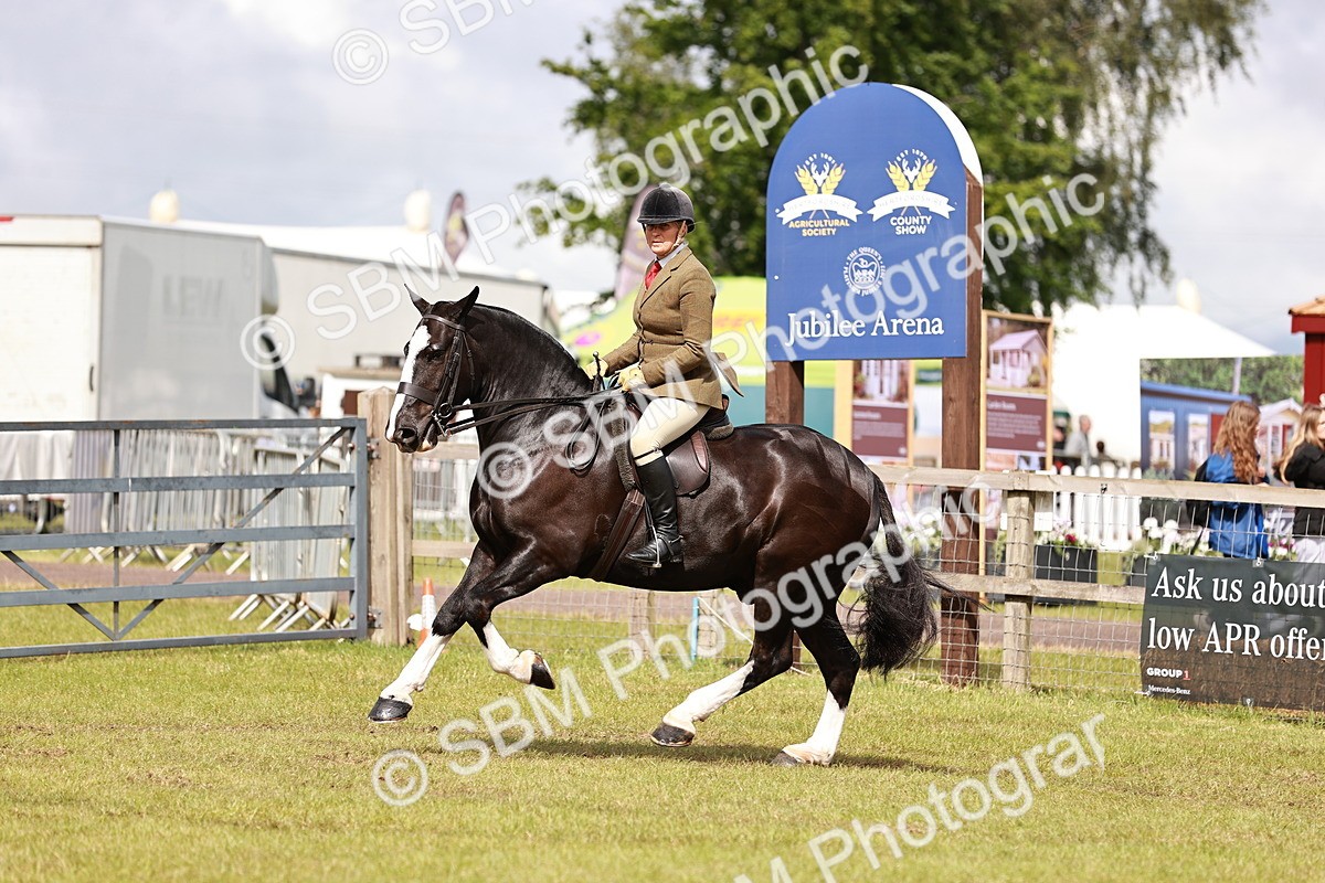 SBM_13111 - Class 85-87 - RIHS Cobs