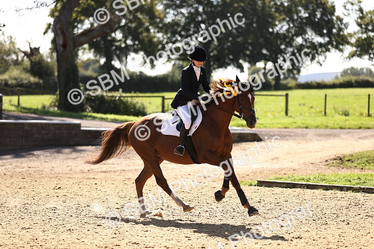 SBM_38601 - J39 - Senior 85cm Championship