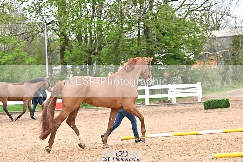 250423-162613-02153 - 4pm to 5pm