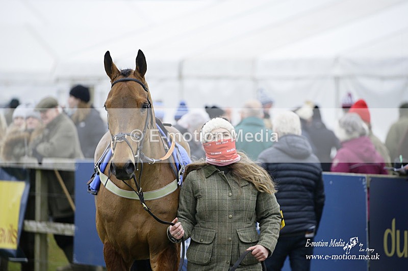 PtP 230122 384 - Cocklebarrow Races - Heythrop Hunt - 23/01/22