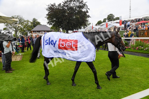 yr21082021r2-38 - Race 2 2.25pm Sky Bet Melrose Stakes