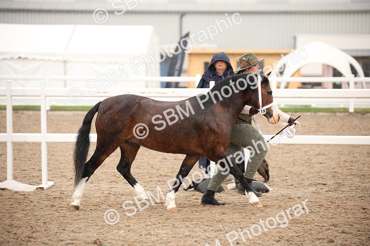 SBM_20246 - Class 704 - IH Rescue