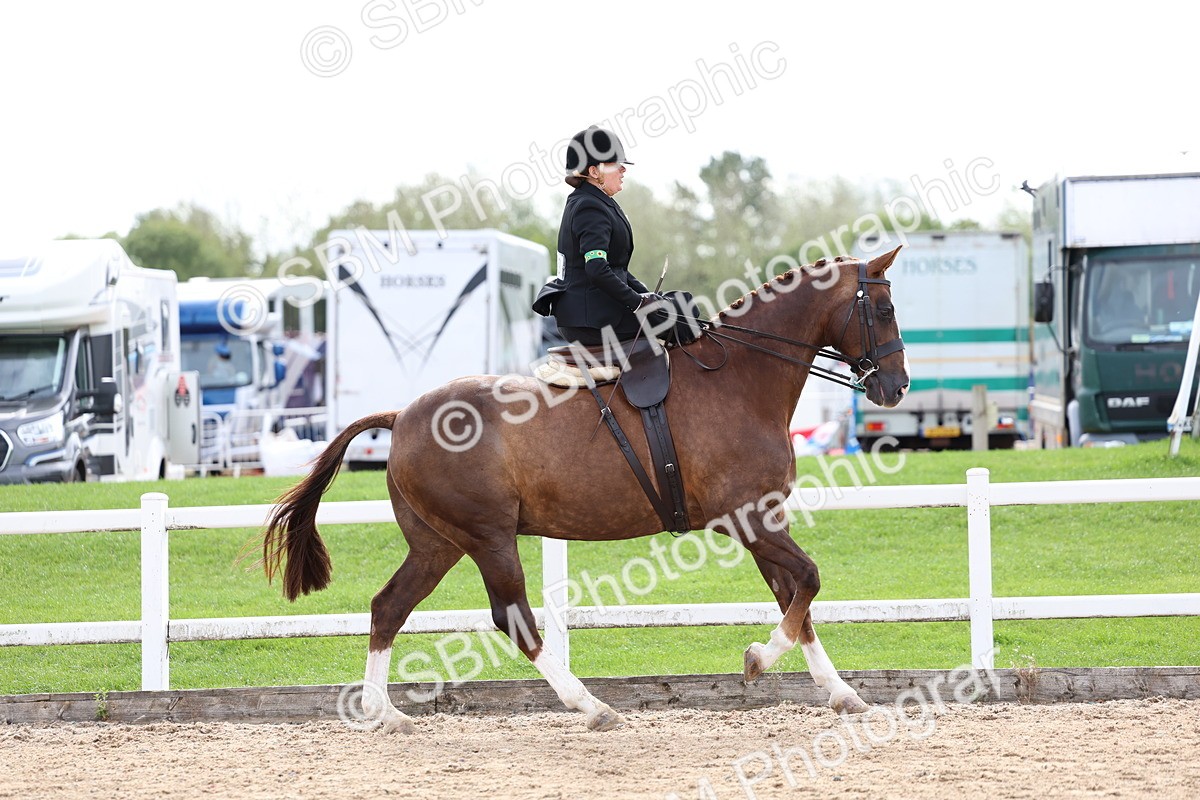 SBM_03307 - Class 23 - SSA Classical (any age)