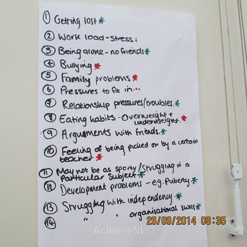  - Peer Mentoring 2014