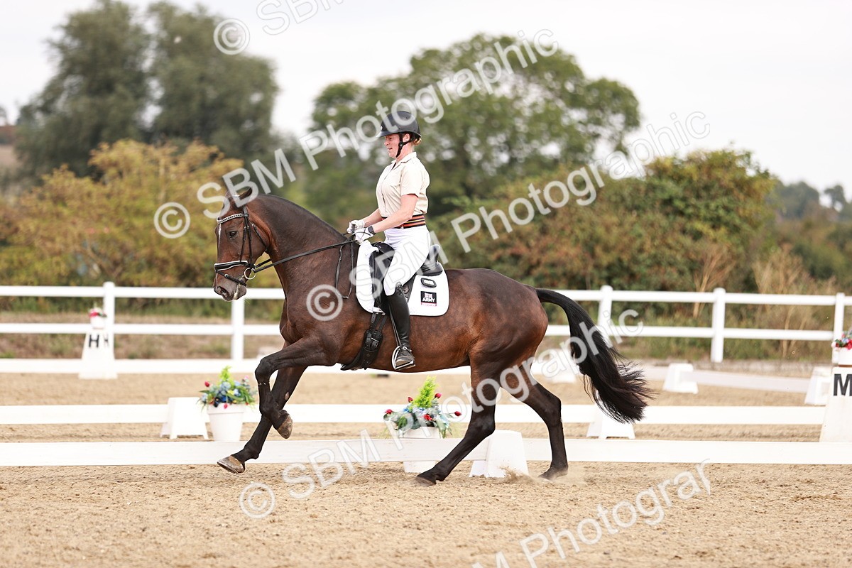 SBM_019217 - Class 20 - Medium 5