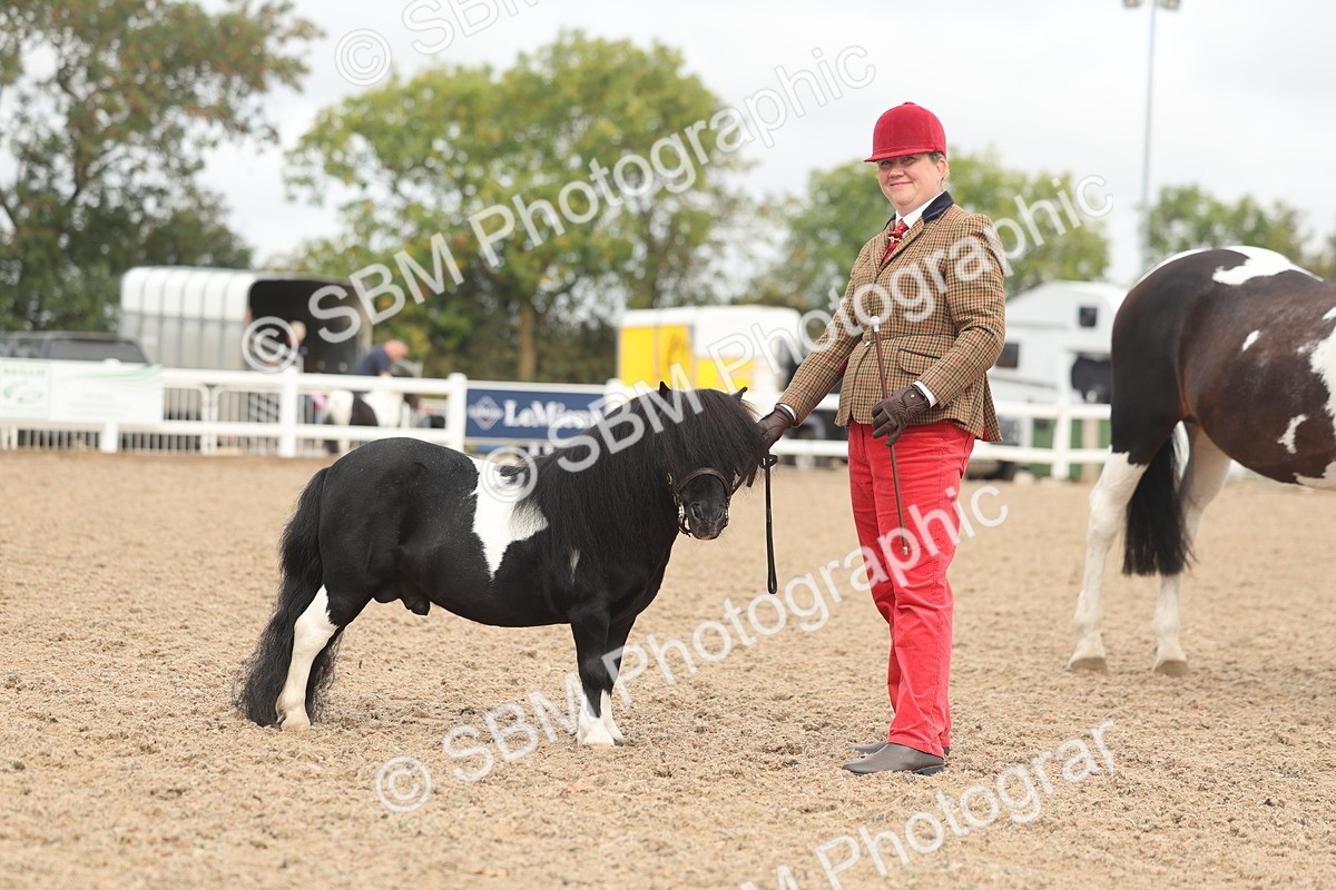 SBM_02124 - Class 15 - IH Coloured