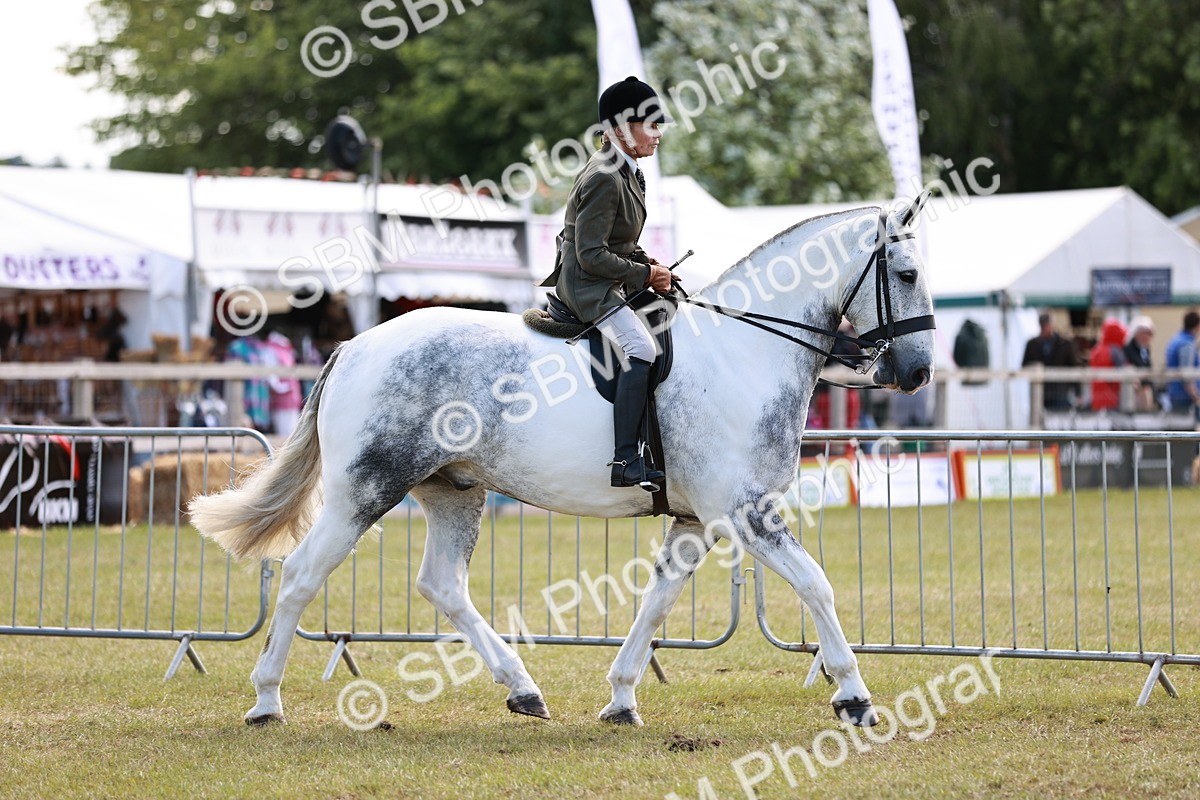 SBM_13998 - Class 85-87 - RIHS Cobs