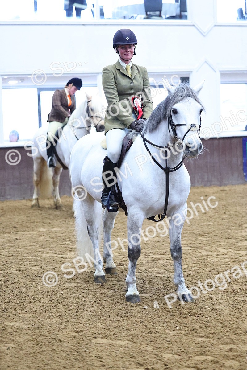 SBM_003683 - Class 37 - 80cm Training Stakes