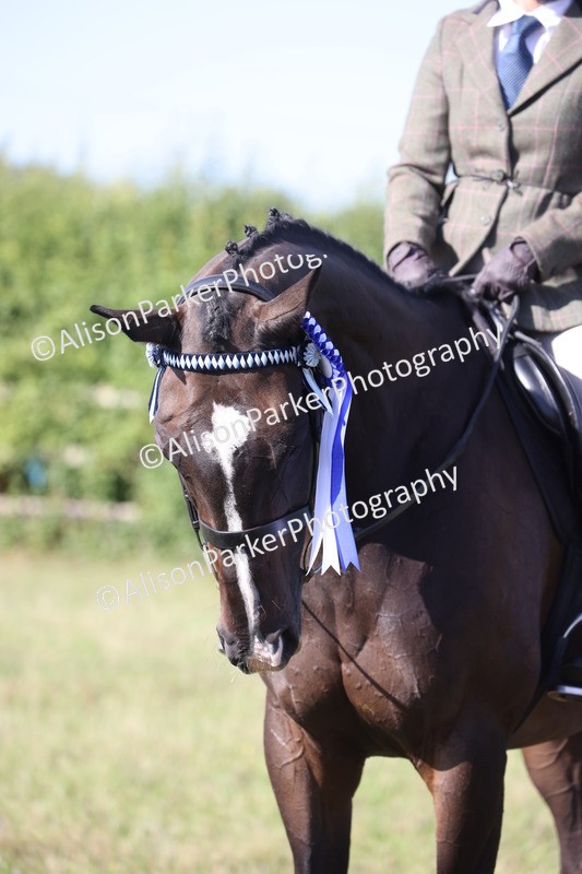 20260906-0425 - Class 14 - Ex Racehorse