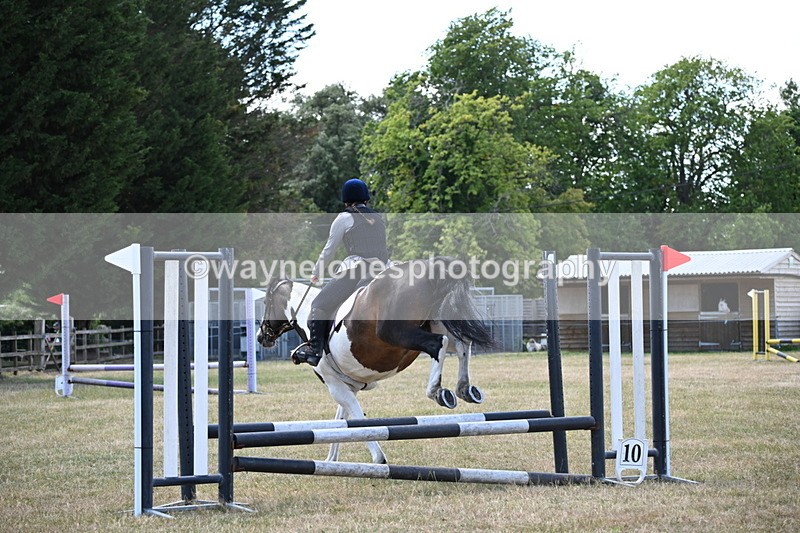 WJ6_5806 - Class 13 Novice 60cm