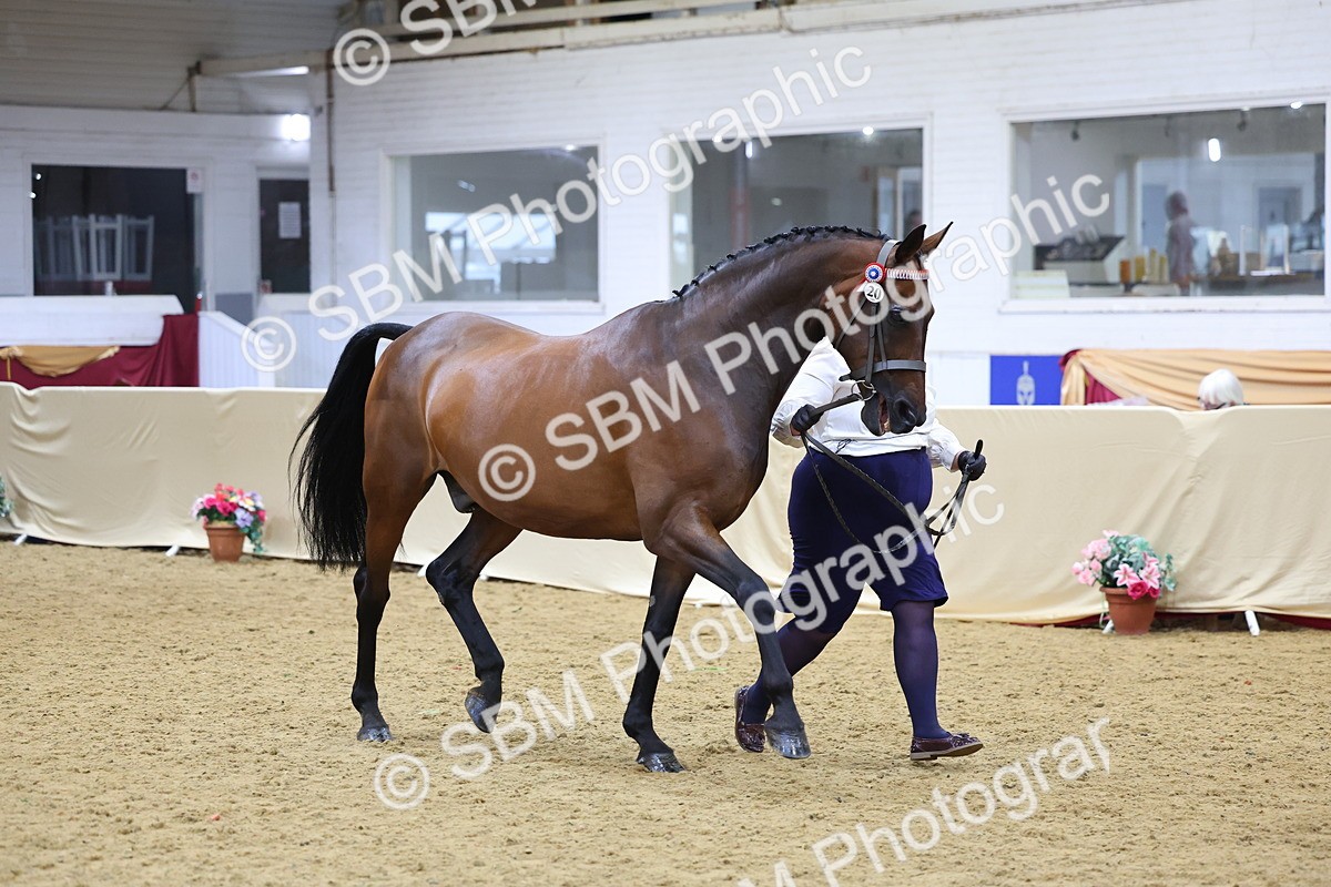 SBM_21059 - Class 902 - Supreme Final IH Veteran