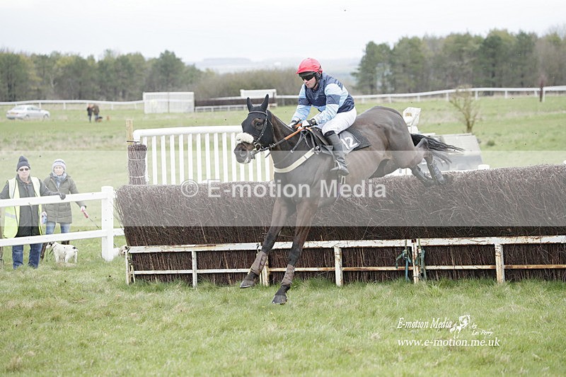 PtP 260323 0471 - New Forest Hounds Point-to-Point Larkhill 26/03/23