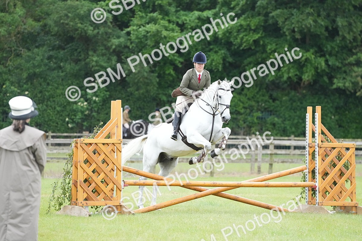 SBM_12585 - Class 97-98 - LIHS BSHA Rising Star Working Show Horse Hunter