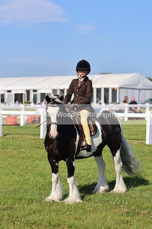 IMG_1531 - Class 30: Ridden Native/Trad Coloured Pony