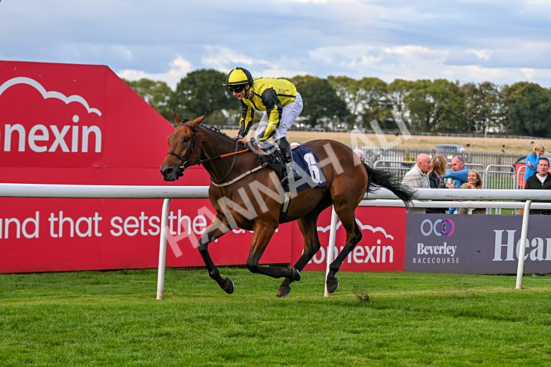 160926-Race 8-Evelyns Phoenix-2219 - Race 8 5.50pm Hurn Handicap (Div II)