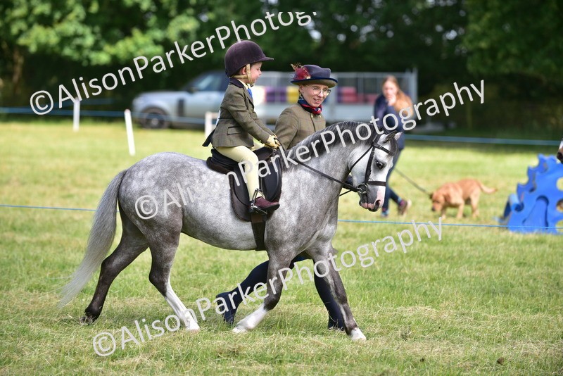 20260614-1137 - Class 11a - Lead Rein Pony (Unplaited)