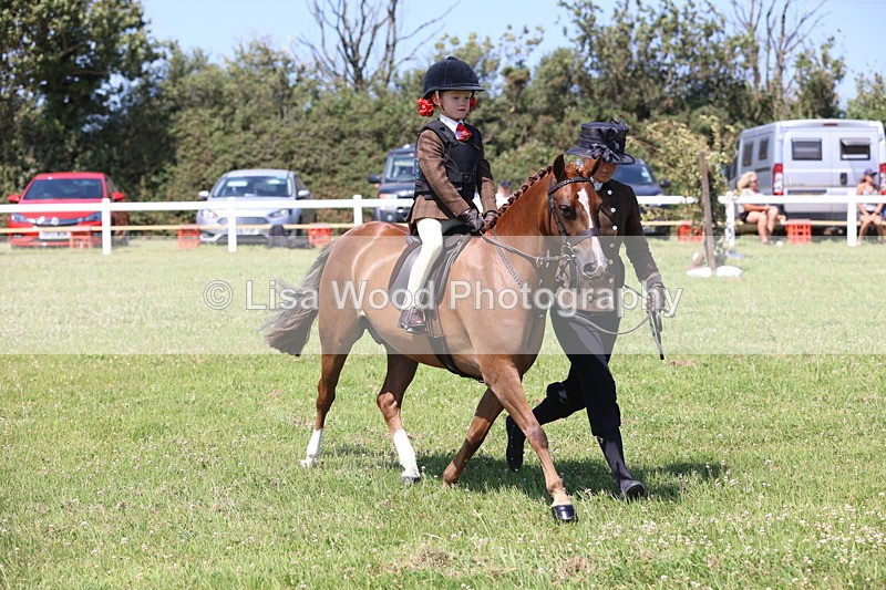 JPP_2296 - Class 20: Tiny Tots Working Hunter Pony
