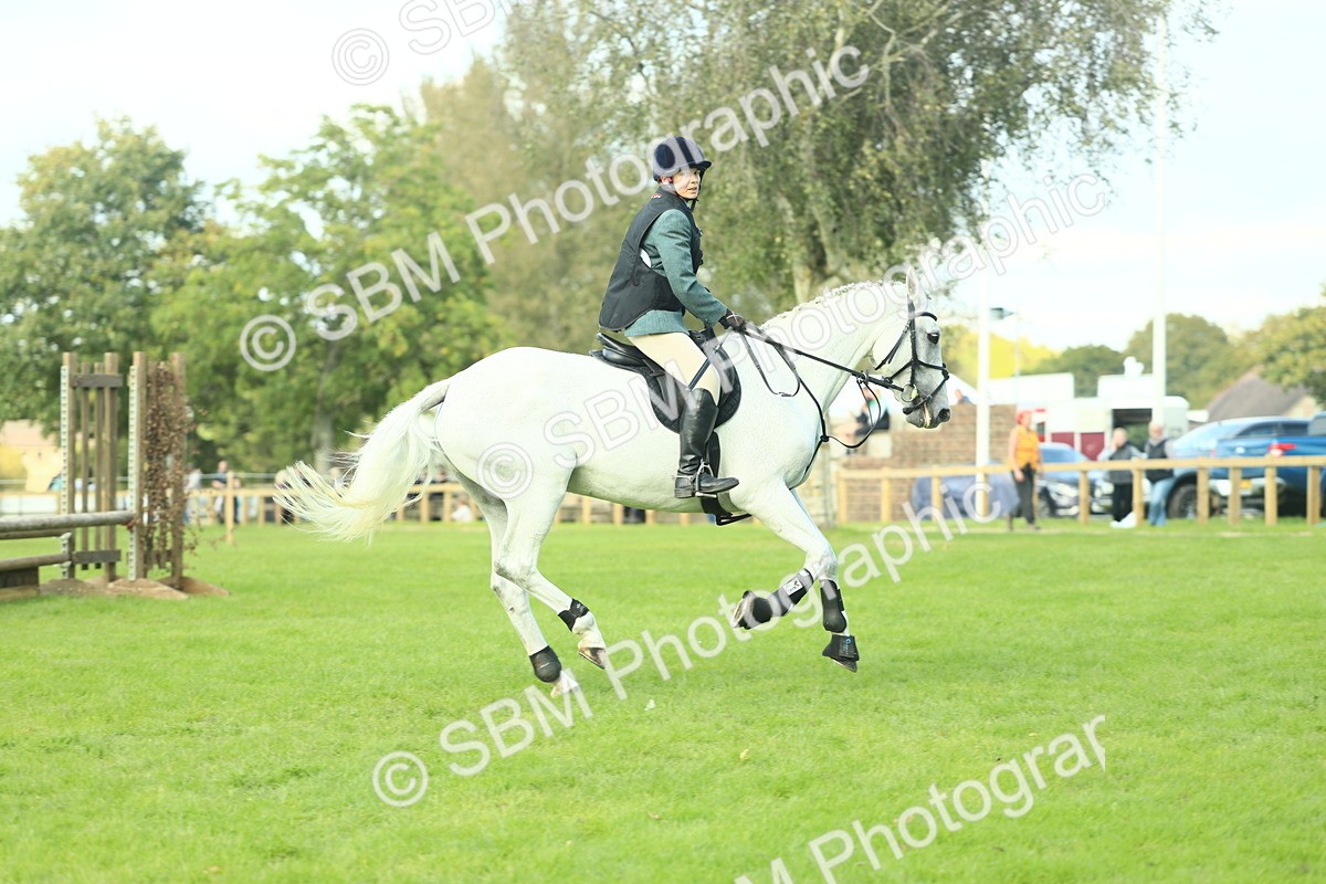 SBM_50607 - S33 - Working Hunter & Working Show Horse