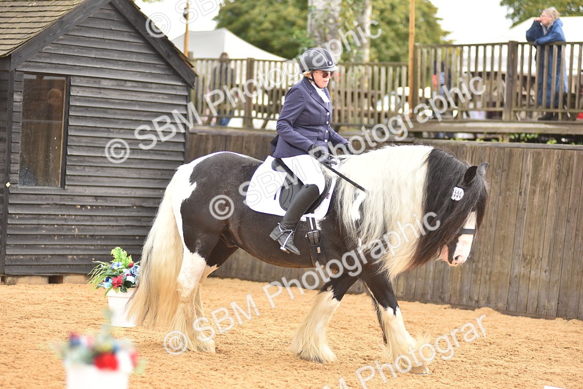 SBM_02172 - D7 - Small Tour Championship Prelim 2