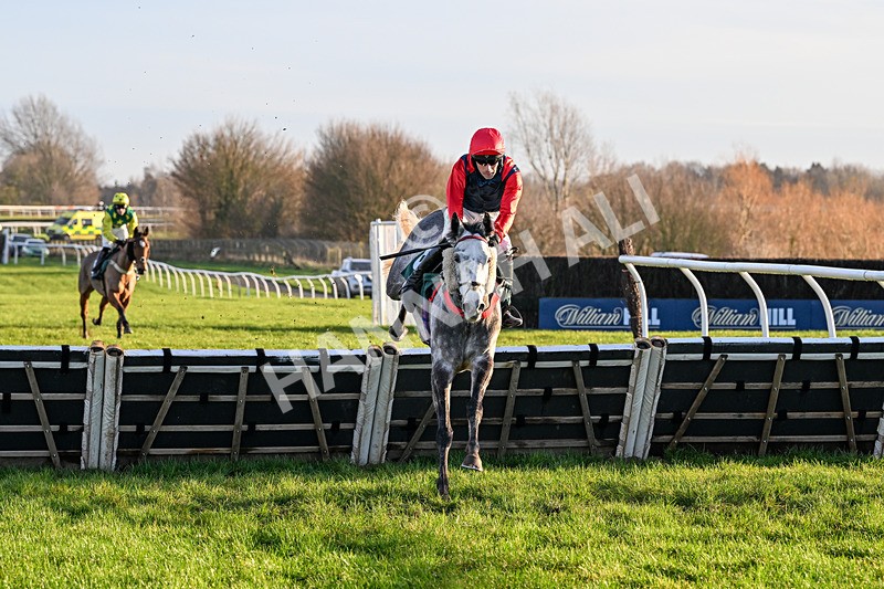 161225-Race 5-Somebodycomegether-8767 - Race 5