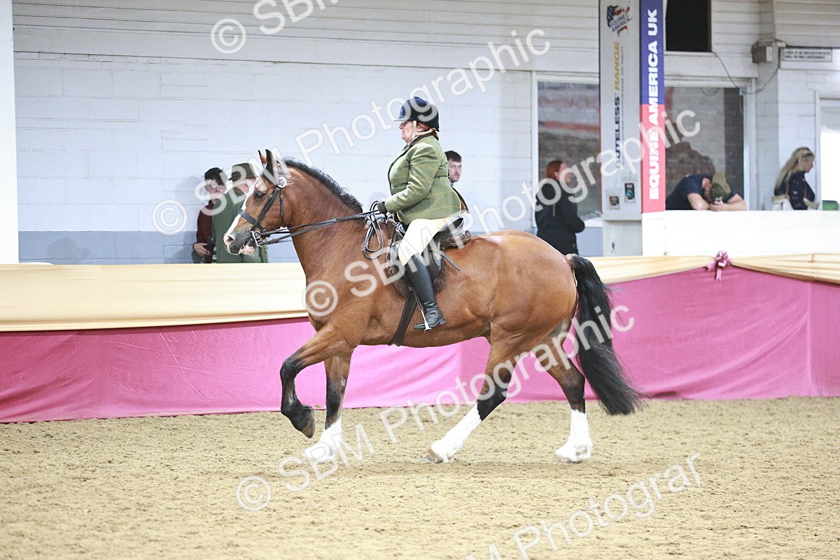 SBM_08951 - Class 12R - Regional Ridden Pre-Vet