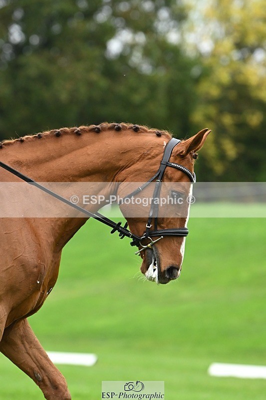 241024-121801-03361 - 512-Elisha.O'Brien-HIGHLIGHT.ROLLER