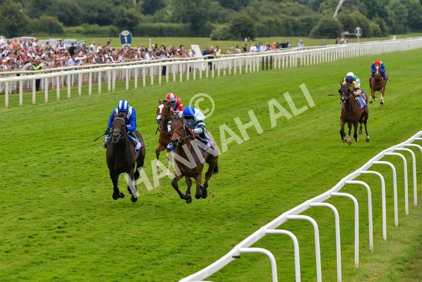 170623-Race 3-Quickthorn-7037 - Race 3 3.05pm Sky Bet Race To The Ebor Grand Cup Stakes